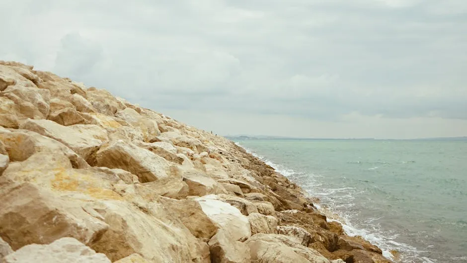 Bregdeti shkëmbor i Adriatikut përballë ndryshimeve klimatike