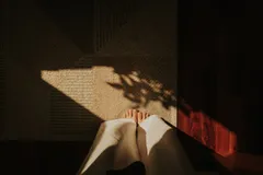 Pse Shqiptarët Flenë Më Mirë se Pjesa e Botës